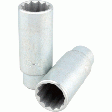 Глава с гнездо 1/2